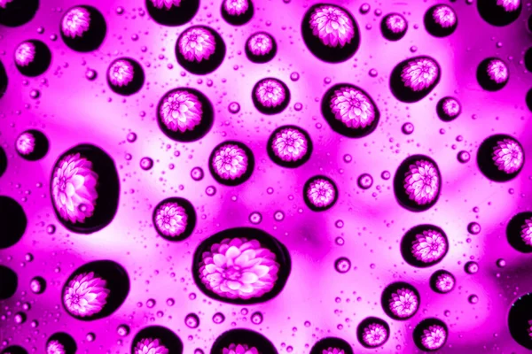 Padrão Primavera Textura Gotas Água Vidro Com Roxo Rosa Flor — Fotografia de Stock