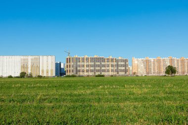 Bulutsuz şehir manzarası ya da yeşil çimenli çayır manzarası, çalılar, tek başına ağaç ve vinç berrak mavi gökyüzünün arka planında beton modern binalar. Şehrin kıyısındaki yeni blok veya semt