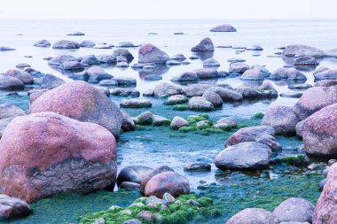 Canlı, renkli ve parlak bir arka plan, manzara. Deniz ya da okyanus kıyısında ya da nehir kıyısında, göl ya da kilosu sakin havalarda su yüzeyiyle kaplı brüt granit kaya ve taş manzarası veya görüntüsü