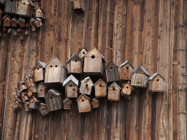 Bird houses on a wooden wall