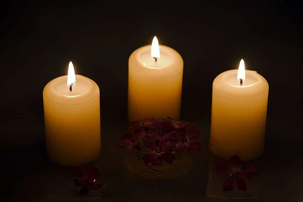 Brandende kaarsen met bloemen in water — Stockfoto