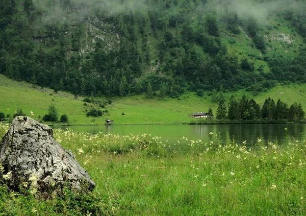 Foggy Koenigsee, Allemagne — Photo