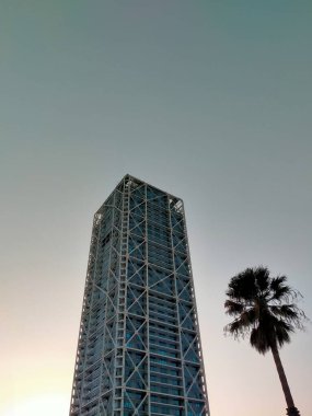 Palmiye ve mavi gökyüzü arka planına sahip iş binası