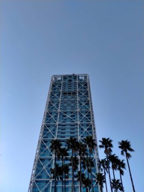 Palmiye ve mavi gökyüzü arka planına sahip iş binası