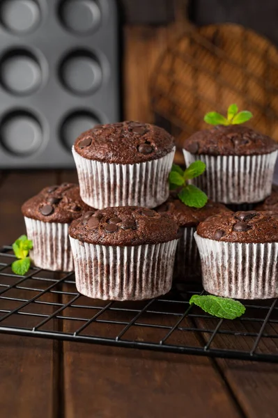 Muffin Cioccolato Cupcake Con Gocce Cioccolato Uno Sfondo Legno Scuro — Foto Stock