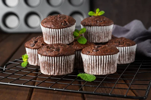 Muffin Cioccolato Cupcake Con Gocce Cioccolato Uno Sfondo Legno Scuro — Foto Stock