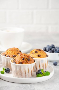 Beyaz tabakta çikolatalı kekler, bir fincan kahve ve gri beton arka planda taze yaban mersini. Boşluğu kopyala