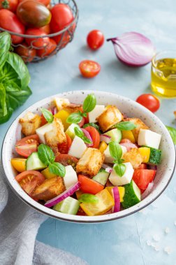 Panzanella salatası, İtalyan ekmeği ve taze sebze salatası. Boşluğu kopyala