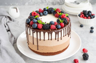 Çikolata jöleli üç çikolatalı kek, yaban mersini, ahududu ve böğürtlen gri bir arka planda beyaz bir tabakta. Üç farklı tat katmanlı pasta. Boşluğu kopyala