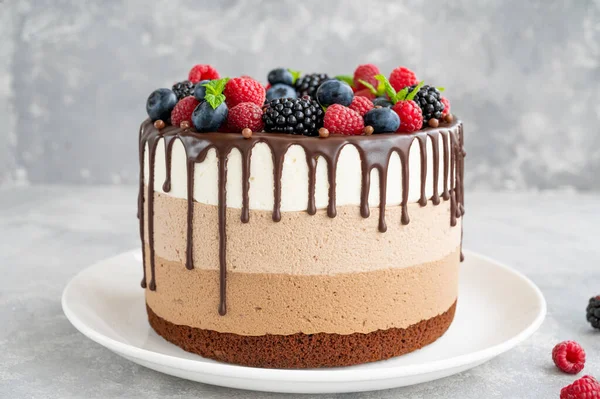 Çikolata jöleli üç çikolatalı kek, yaban mersini, ahududu ve böğürtlen gri bir arka planda beyaz bir tabakta. Üç farklı tat katmanlı pasta. Boşluğu kopyala