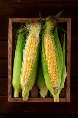 Koyu ahşap arka planda ahşap bir tepside taze taze taze taze mısır koçanı. Üst görünüm