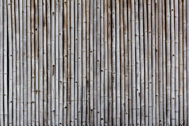 Bambu duvar dokusu arkaplanı