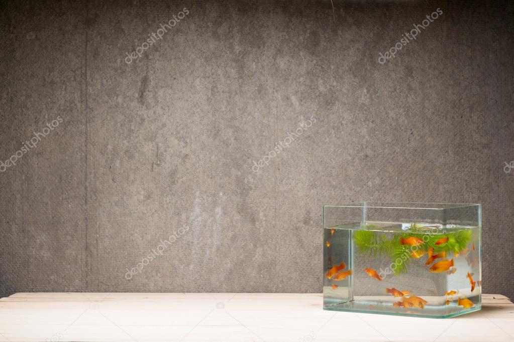 200l Aquarium Mp Aquarien Fische Tisch