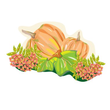 Kabaklar ve rowan sonbaharda hasat