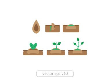 bitki vector Icons set