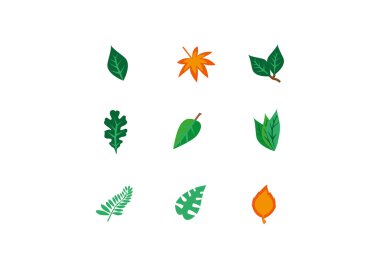 vektör kümesi yapraklar