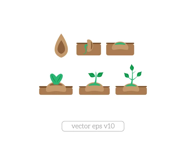 Planta vector iconos conjunto — Vector de stock