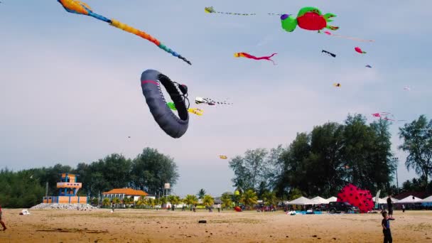 Stingray inflable y cometa de la tortuga, volando en la playa — Vídeos de Stock