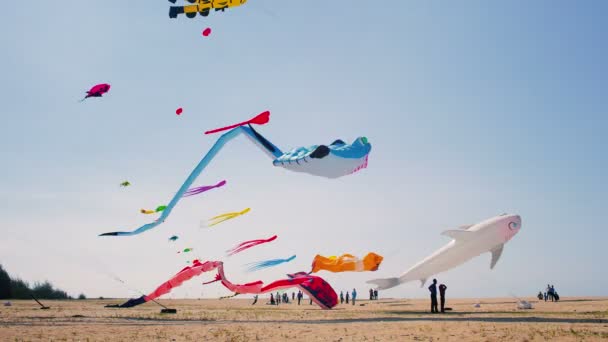 बिग inflatable stingray आणि शार्क किट्स द बीच वर उड्डाण — स्टॉक व्हिडिओ