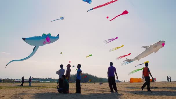 Eine Gruppe von Kindern spielt Drachen. am Himmel fliegen viele aufblasbare Drachen — Stockvideo