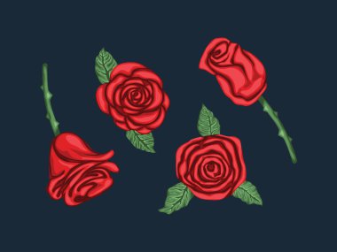 Gül aşkı yıldönümü hediyesi romantizm elementi çiçek açtı çiçek çiçeği çiçeği arka planda taç yaprağı kırmızısı