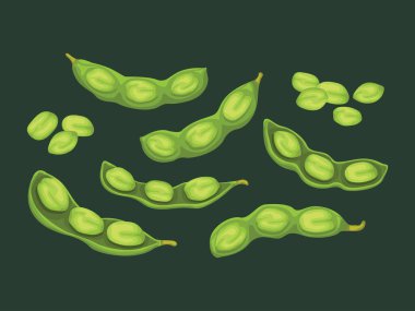 edamame organik karikatür Japon tohumu soya fasulyesi vejetaryen çiftlik hasadı malzemeleri doğal diyet