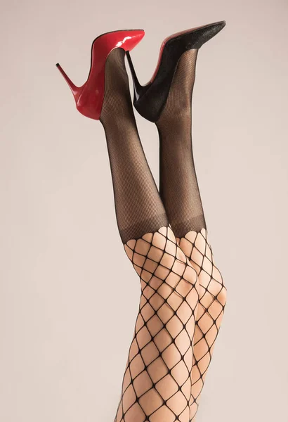 Beautiful Female Legs Black Tights Stockings White Background — Stock Photo, Image