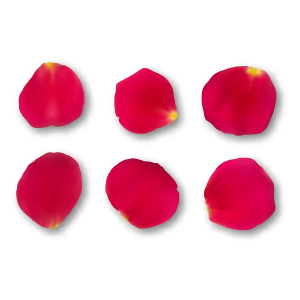Vector bright roses petals — Stock Vector