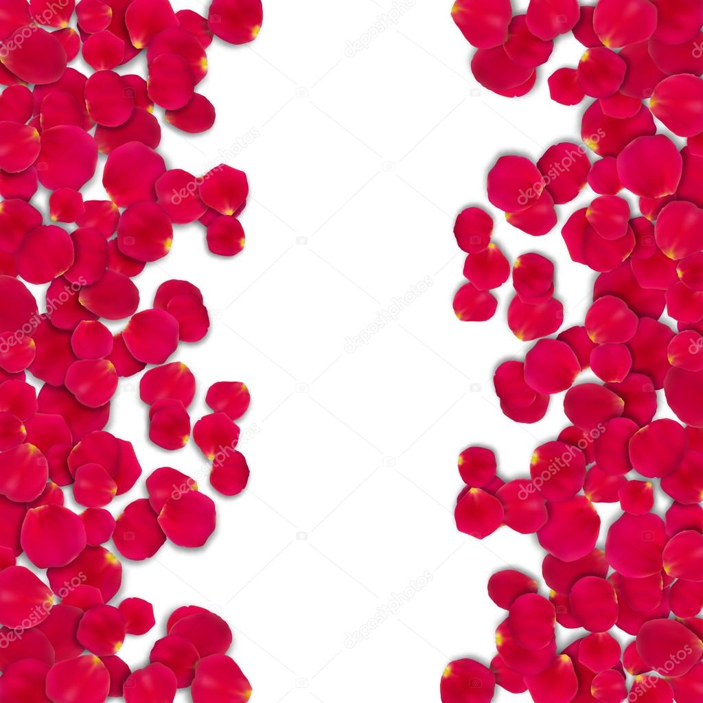 Vector bright roses petals — Stock Vector © Fish 113492196