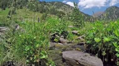 Picturesque landscape.