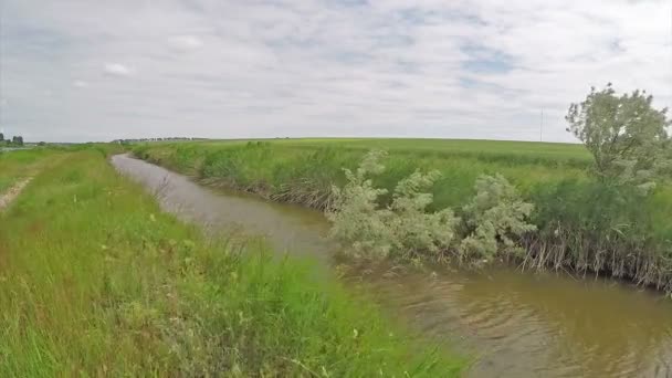 A quiet little river under the summer. — Stock Video