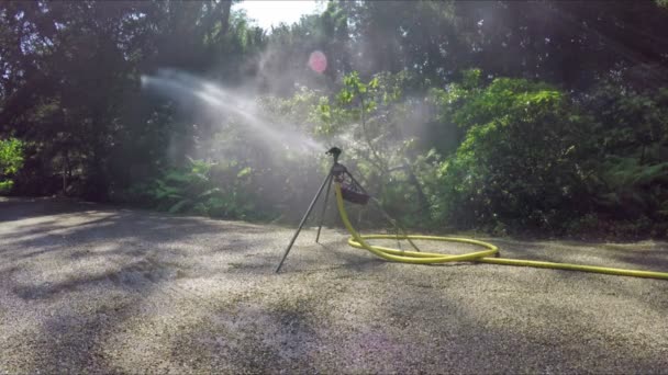 Bevattning sprinkler — Stockvideo