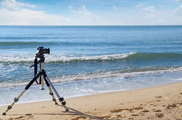 Fotocamere su treppiede . Foto Stock