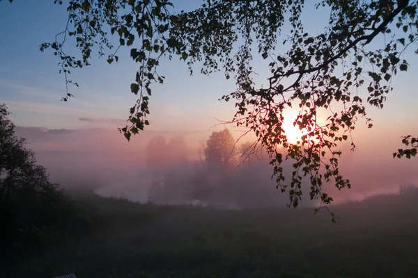 Mlhavé Letní Ráno Břehu Řeky — Stock fotografie