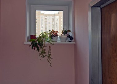 Gökyüzünde yalnız bir mavi top uçuyor.