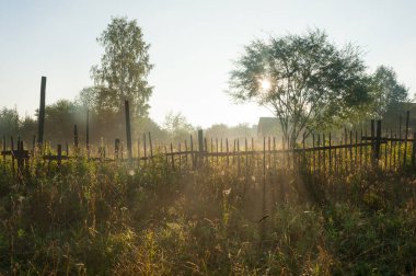 Köyün dışında kesilmemiş çimenler var.