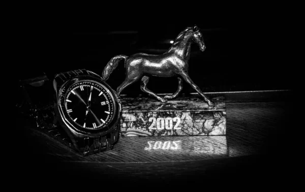 2002 Foi Ano Cavalo — Fotografia de Stock
