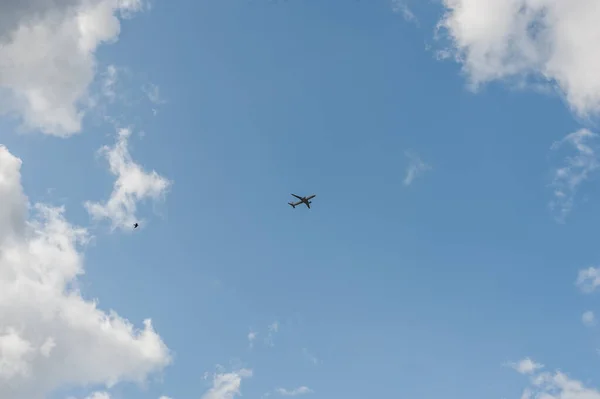 飛行機とカラスが白い雲と青い空を飛んでいる — ストック写真