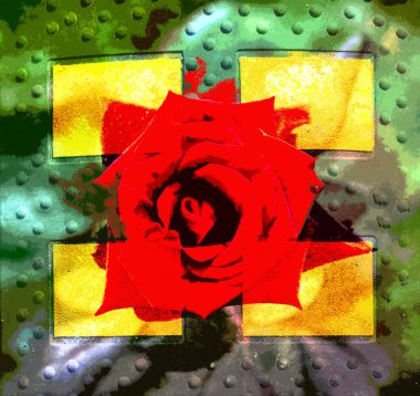 Dört sarı kareli bir arka planda kırmızı bir gül çiçeği