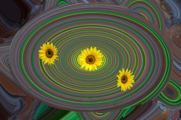 Tři Žluté Květy Květinovém Záhonu Abstraktní — Stock fotografie