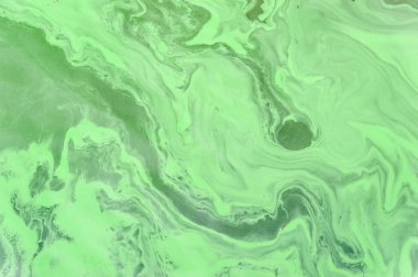 Göl suyundaki yeşil ördek otunun değişik şekilleri var.