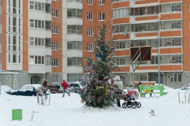 Yüksek binaların avlusunda süslü bir Noel ağacı duruyor.