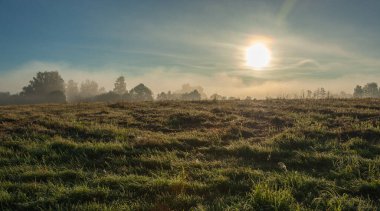Sabah güneşiyle sonbahar manzarası