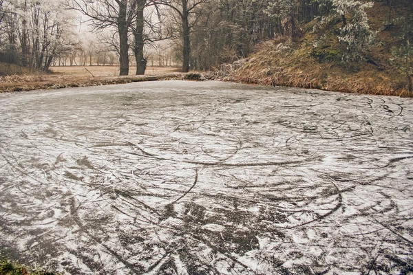 アイス スケート リンクとして使用される森の傷冷凍池 — ストック写真