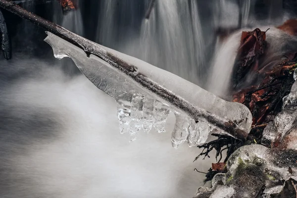 小川の上の枝に冷凍水の氷 — ストック写真