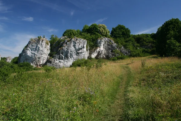 Le chemin à travers la prairie jusqu'aux rochers — Photo