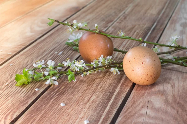 Húsvét - virágzó ágak két tojással — Stock Fotó
