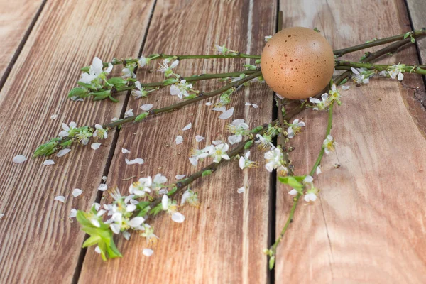 Húsvét - virágzó ágak tojással — Stock Fotó