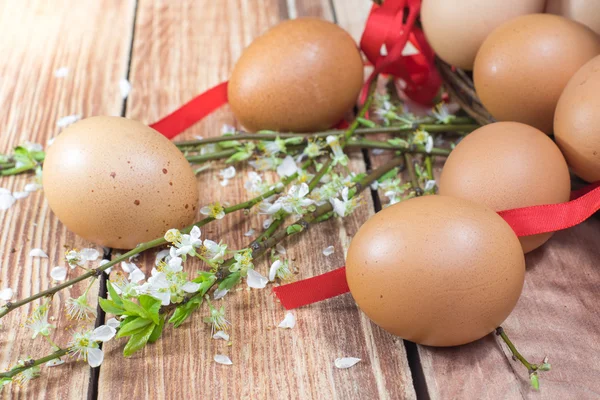 Húsvét - a kiömlött tojást a tavaszi virágok — Stock Fotó