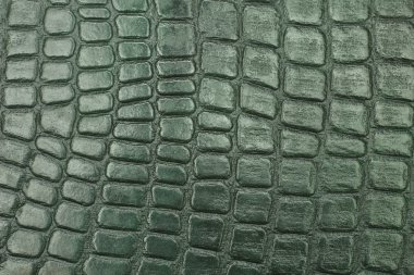 Yeşil retro deri doku